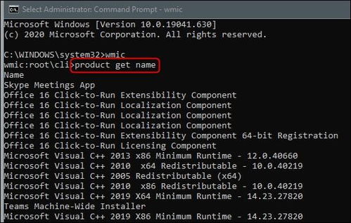 如何从命令提示符卸载 windows 10 上的程序